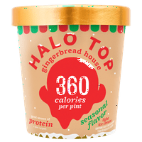 Halo Top Light Ice Cream Gingerbread House