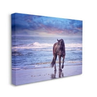 Stupell Industries Wild Horse na plaži Šaloljubivi plavi zalazak sunca Platno Zidno umjetničko dizajn