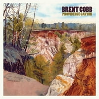 Brent Cobb - Providence Canyon - Vinyl