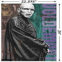 Wizarding World: Harry Potter - Voldemort sa Wind zidnom posterom, 22.375 34